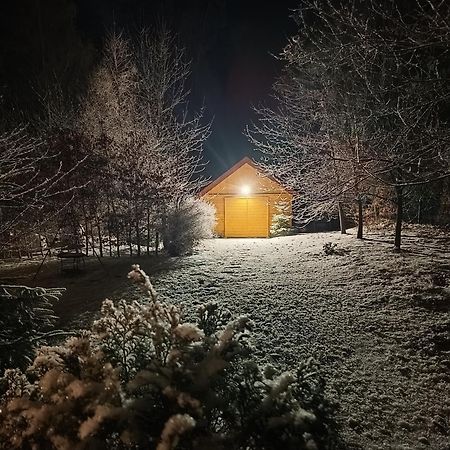 Villa Lupus - Apartament Z Prywatna Sauna Szklarska Poręba Buitenkant foto