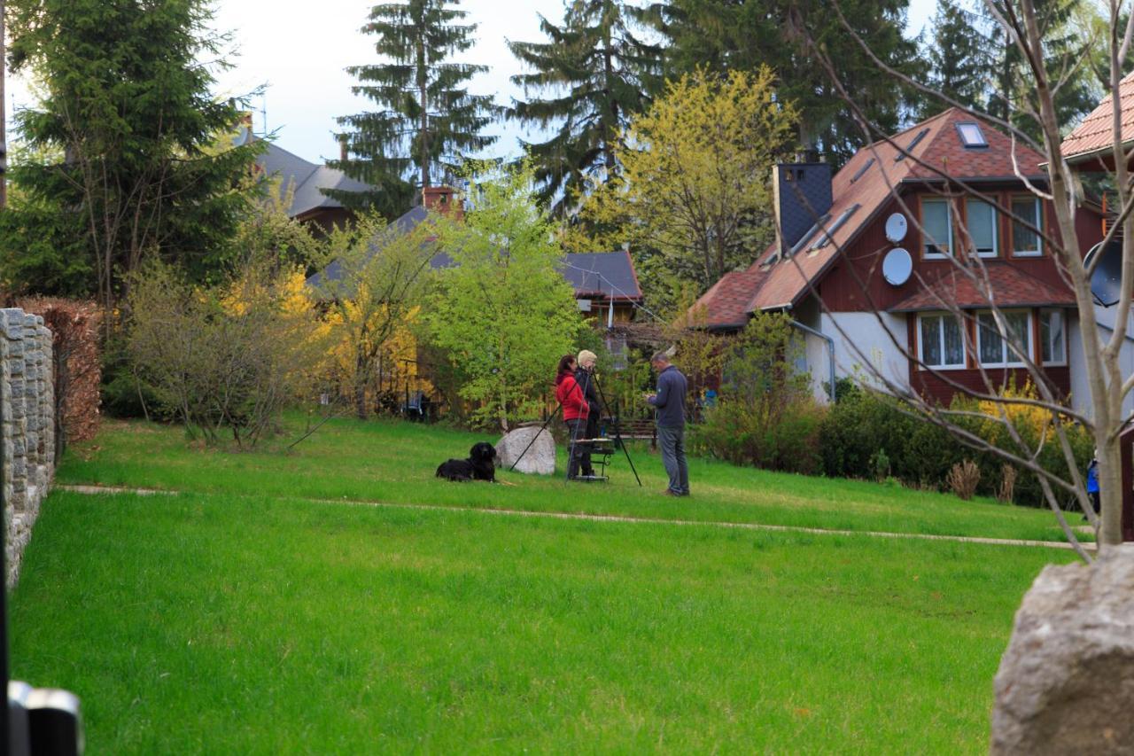 Villa Lupus - Apartament Z Prywatna Sauna Szklarska Poręba Buitenkant foto