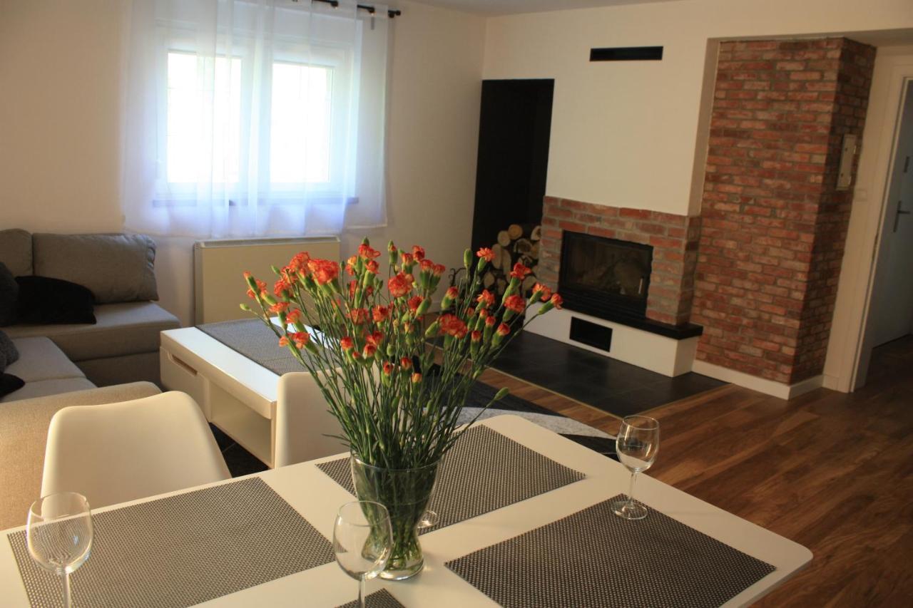 Villa Lupus - Apartament Z Prywatna Sauna Szklarska Poręba Buitenkant foto